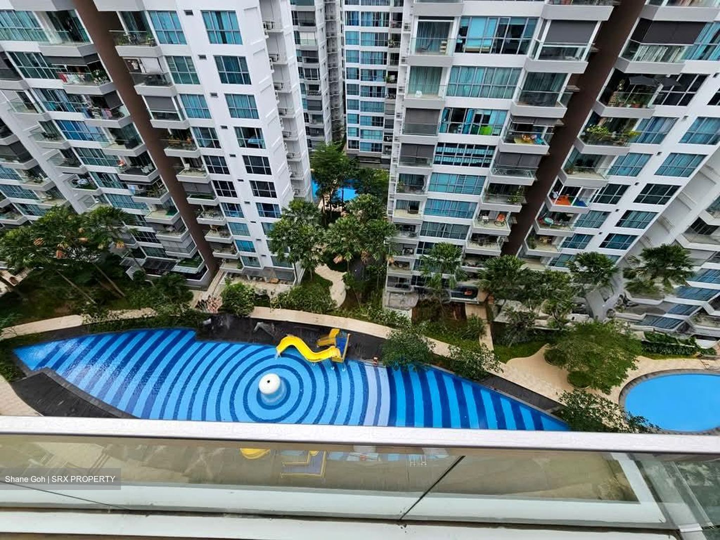 A Treasure Trove (D19), Condominium #556780581